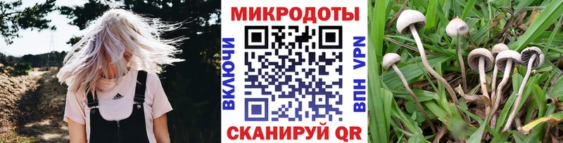 Псилоцибиновые грибы MAGIC MUSHROOMS  Терек 