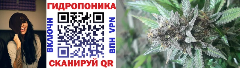 Канабис семена Терек